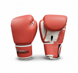 Boxing Gloves PRO