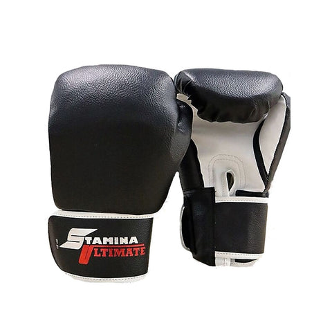 Boxing Gloves PRO