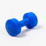 stamina dumbbell biru 1 kg